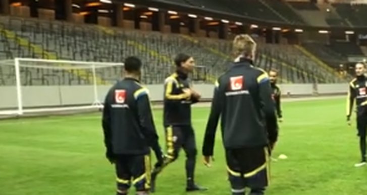 Zlatan Ibrahimovic, Landslaget, Svenska herrlandslaget i fotboll, Fotboll